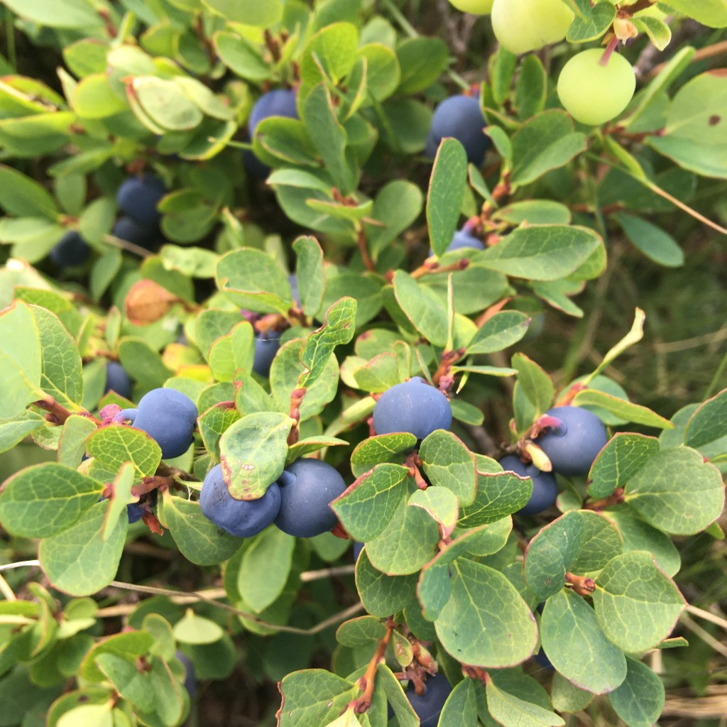 De kunst van het&nbsp;kijken