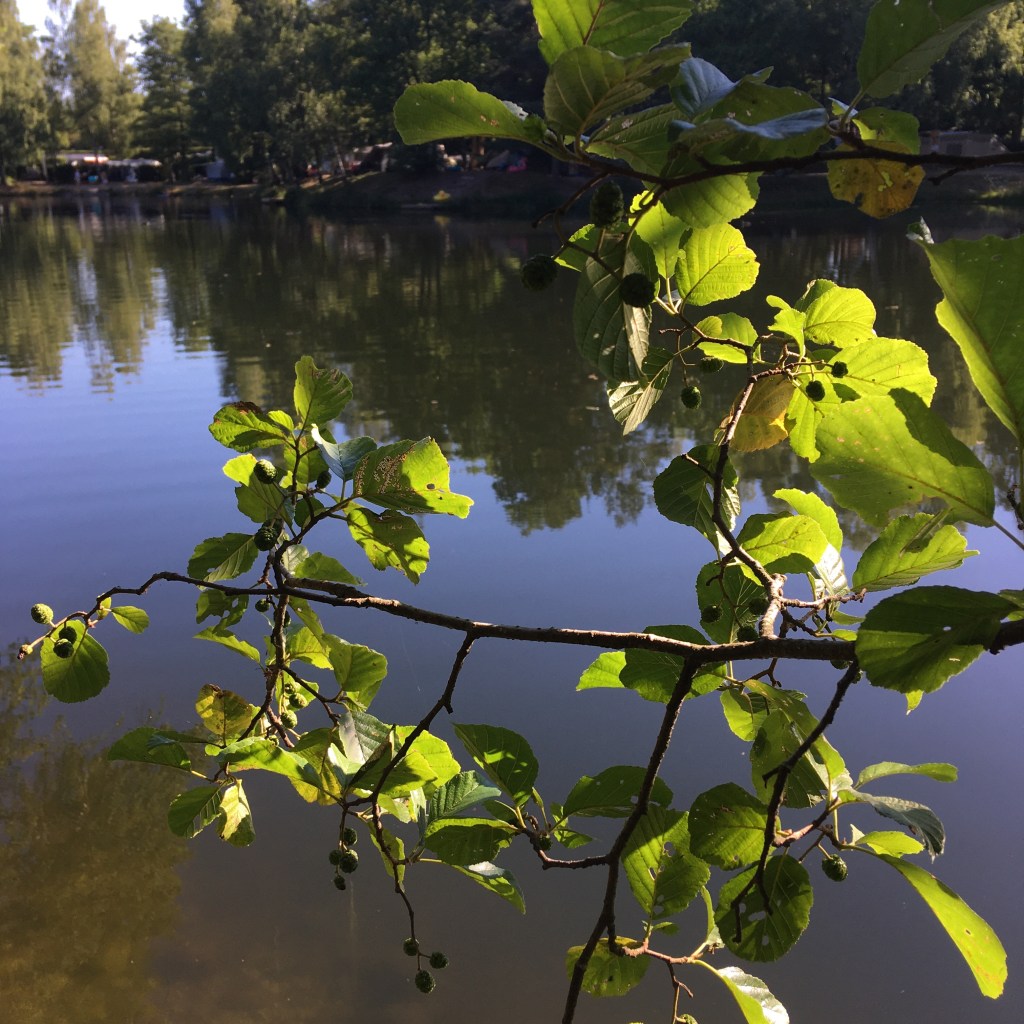 De kunst van het nee&nbsp;zeggen