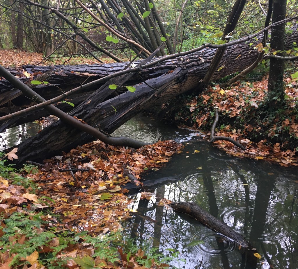 Wandelen in drie (of vier)&nbsp;dimensies